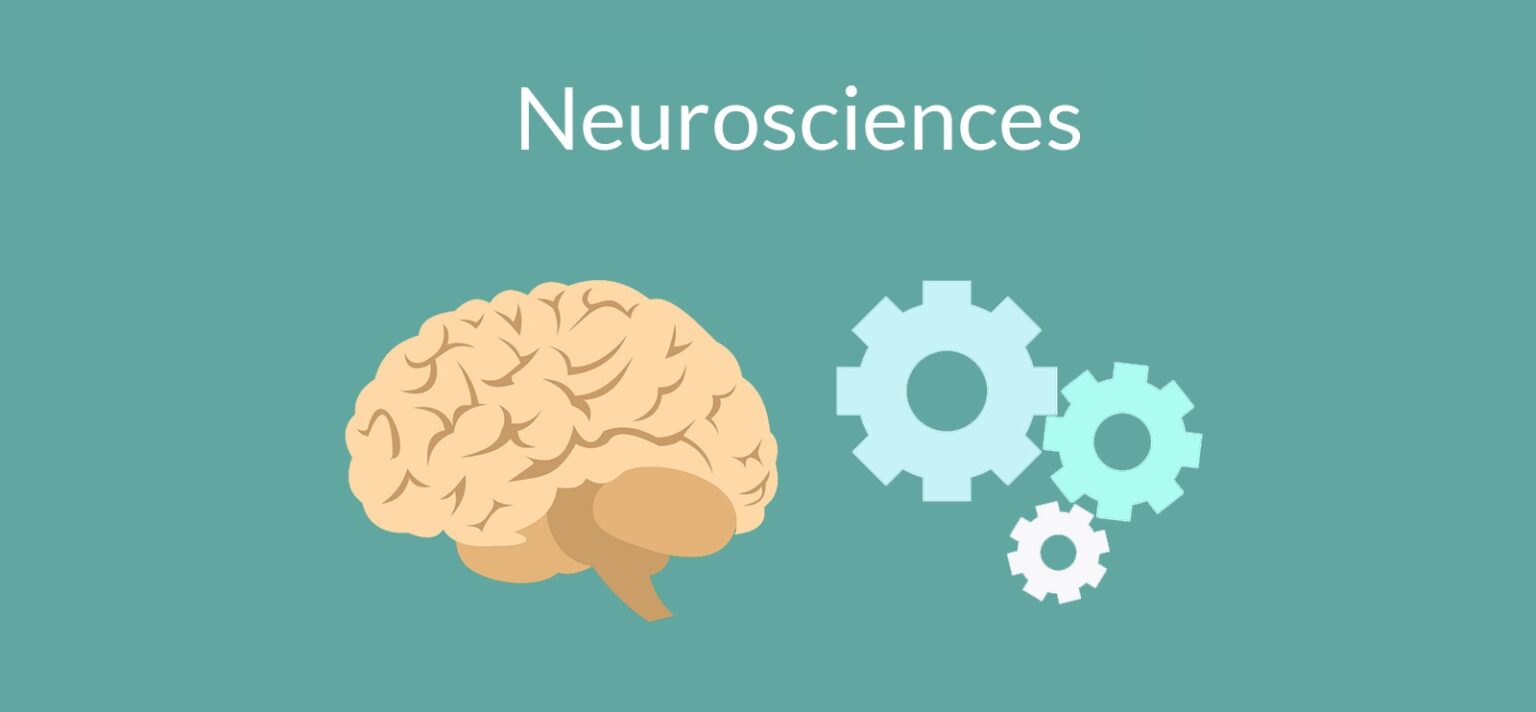 Neuroscience and Cognitive Science in Learning - ChallengeMe